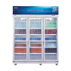 SHOWCASE 3 PINTU
