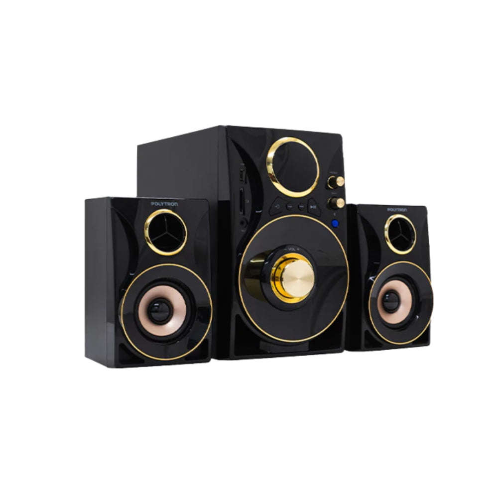 POLYTRON - HIFI - PMA-9310BG