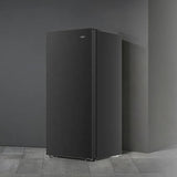 AQUA - KULKAS 1 PINTU (157L) - AQF-260(DS)