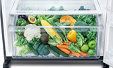 SHARP - KULKAS 2 PINTU BIG (550L) - SJ-IG862PM-SL